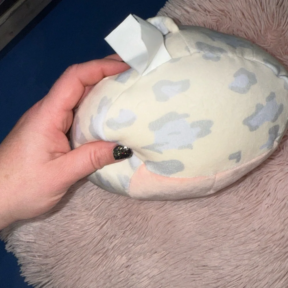 Squishmallow Friends Forever Rosie and Ronnie